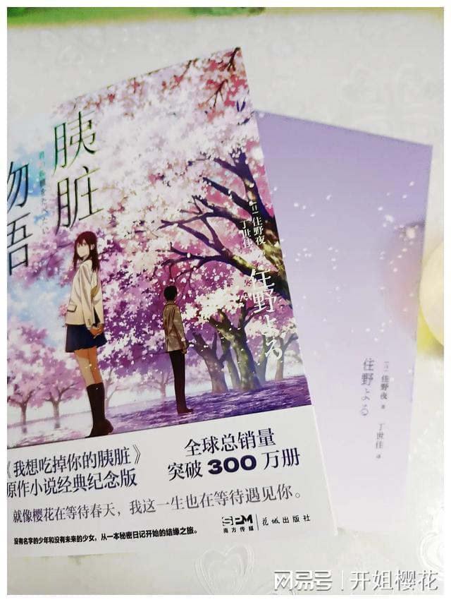 耳软骨垫鼻尖吸收-探索与分享你的兴趣与热爱!